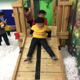 31294572_1514017944.1791.jpg