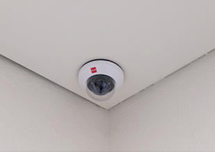 CAM 20